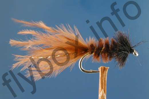 Morgan's Sedge Pupa